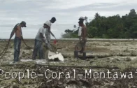 People-Coral-Mentawai