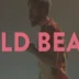 Wanderlust - Wild Beasts. Videoclip musical de la banda británica