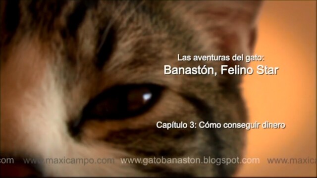 Banastón, Felino Star - Capítulo 3 "Cómo conseguir dinero". Maxi Campo