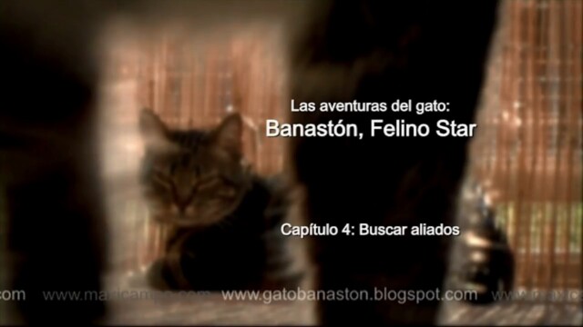 Banastón, Felino Star - Capítulo 4 "Buscar aliados". Webserie Maxi Campo