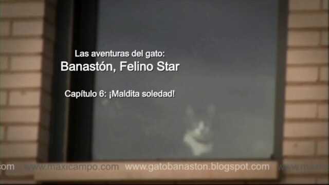 Banastón, Felino Star - Capítulo 6 "Maldita soledad" de Maxi Campo