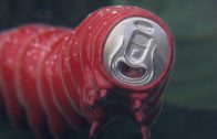 Branded Dreams. Cortometraje de animación de Studio Smack-Coca Cola