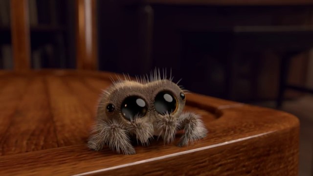 Lucas The Spider. Cortometraje de animación de Joshua Slice