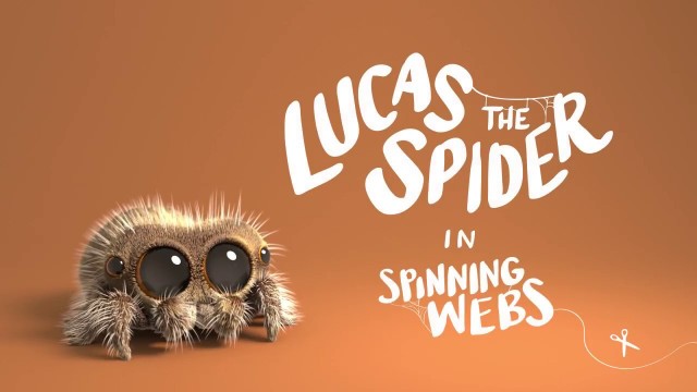 Lucas the Spider - Spinning Webs. Cortometraje animación Joshua Slice