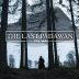 The Last Padawan: A Short Star Wars Story. Cortometraje Jesper Tønnes
