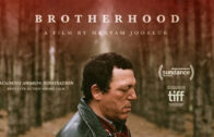 Brotherhood (Fraternidad)
