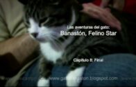 Banastón, Felino Star – Capítulo 8