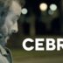 Cebra. Cortometraje y drama español de Félix Fernández de Castro