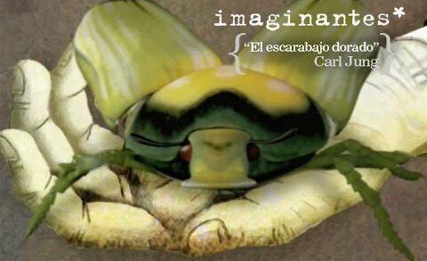 Jung - El Escarabajo Dorado | Imaginantes*. Corto de animación