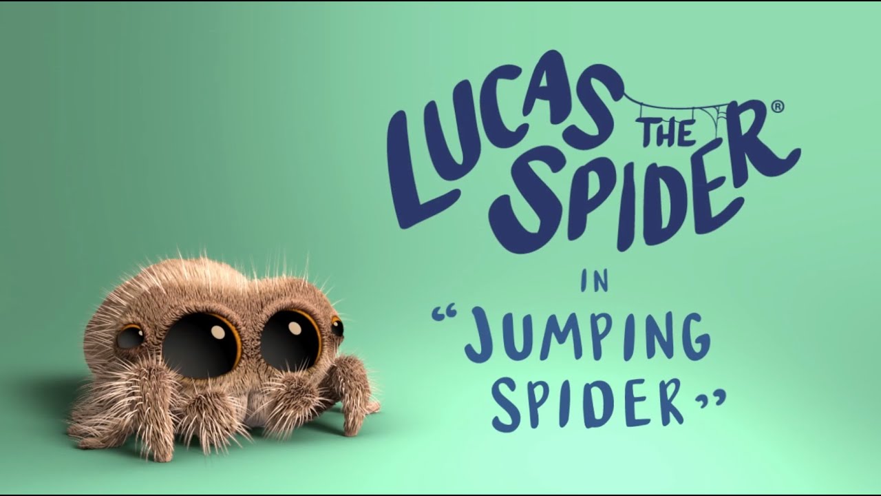 Lucas la araña - Araña Saltadora. Cortometraje de animación Joshua Slice