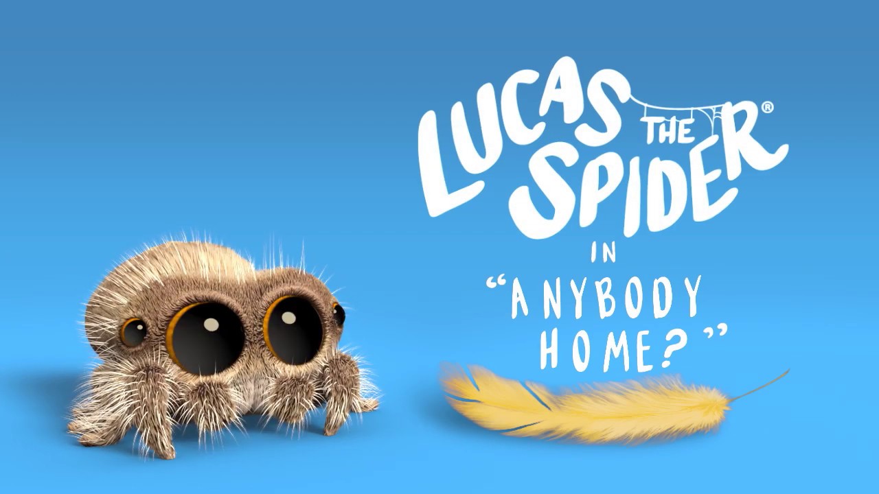 Lucas la araña - ¿Hay alguien en casa?. Corto de animación Joshua Slice