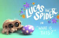 Lucas la araña – ¿Que es eso?. Cortometraje de animación Joshua Slice
