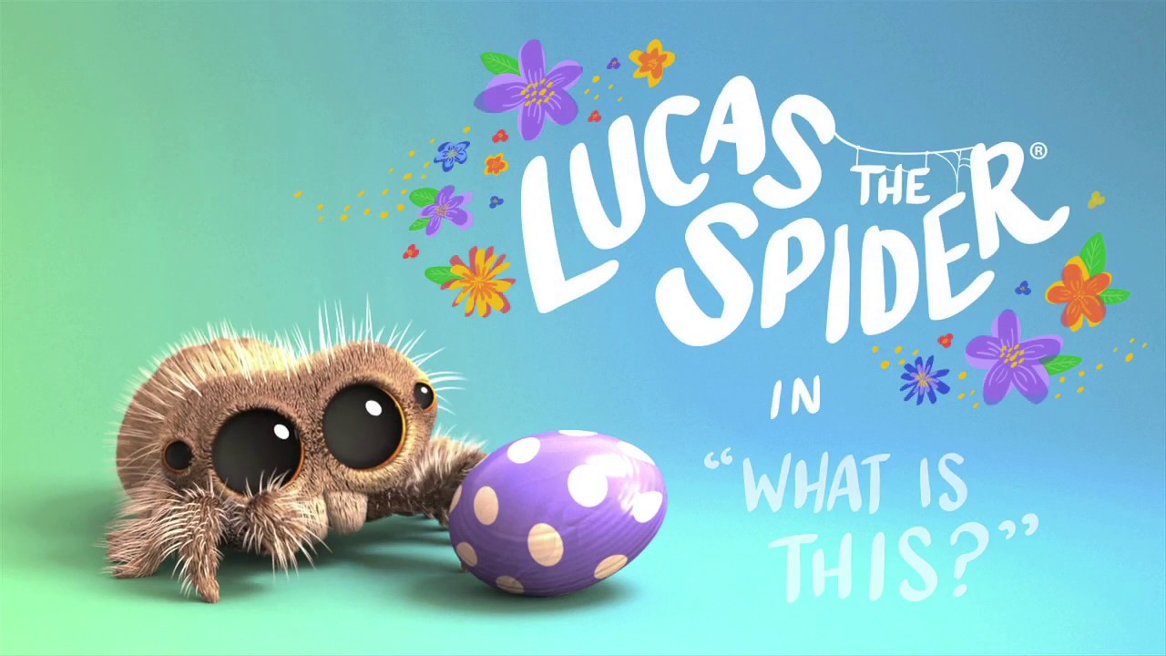 Lucas la araña - ¿Que es eso?. Cortometraje de animación Joshua Slice