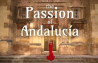 The Passion of Andalucia