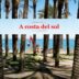A costa del sol. Cortometraje documental de Daniel Natoli