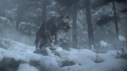 Solo: El invierno de un lobo (Alone: A Wolf's Winter). Corto de animación