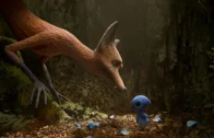 The Fox and the Bird