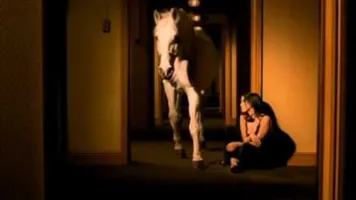 Give Me A Reason - The Corrs