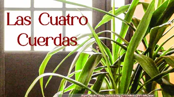 Las cuatro cuerdas
