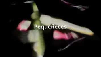 Pequeñeces