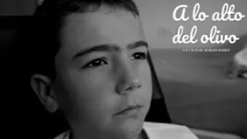 A lo alto del olivo